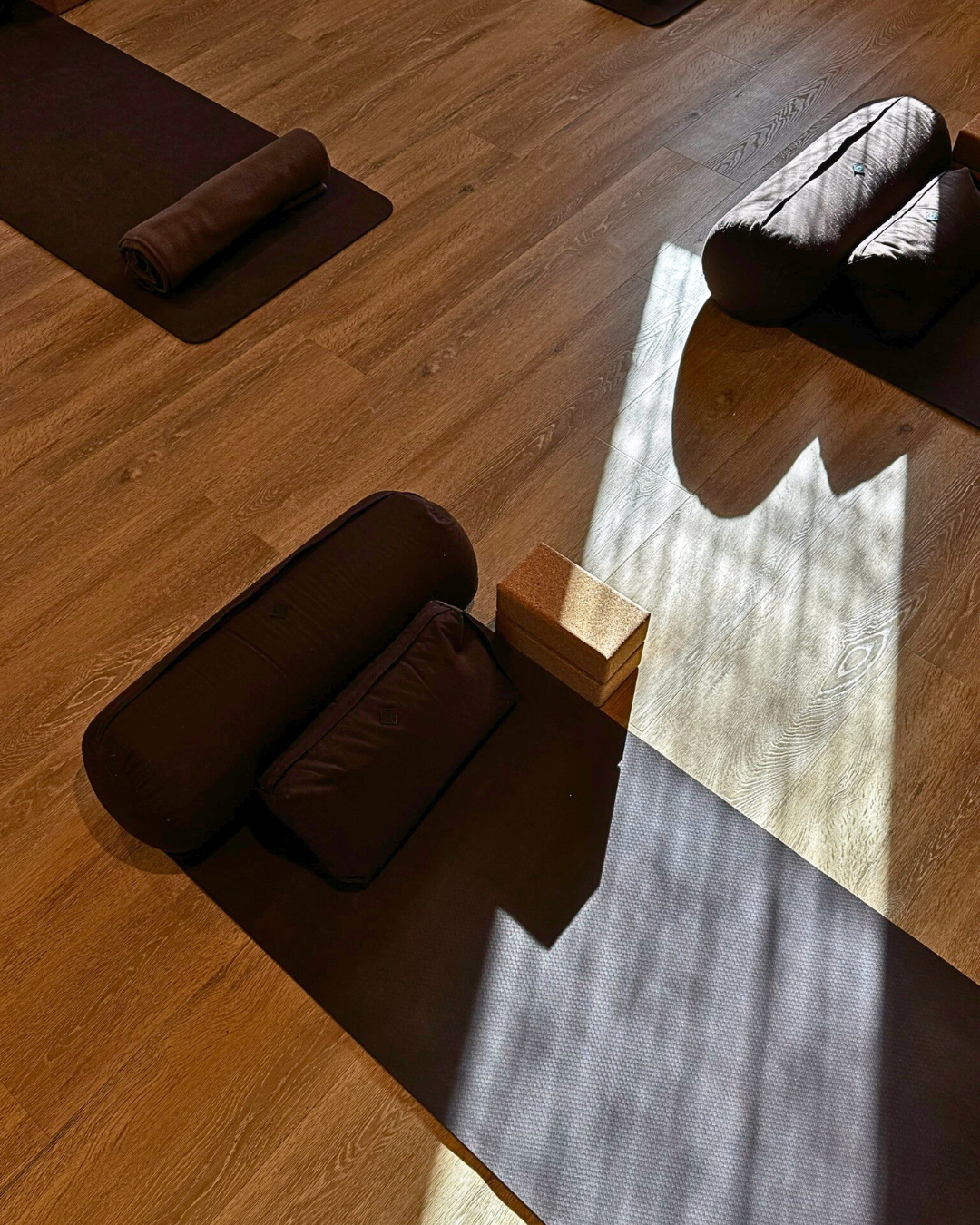 Yoga in Edegem